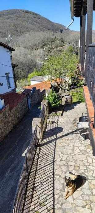 Hostal Montemayor Montemayor del Rio エクステリア 写真